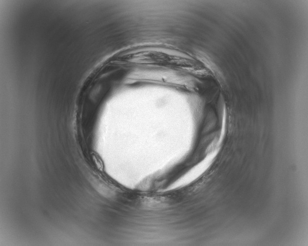 X0000074290346200609222315