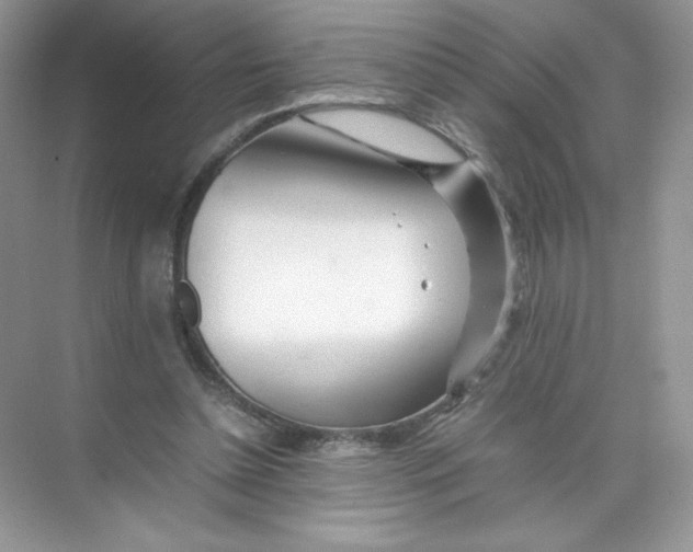 X0000074290348200609222315