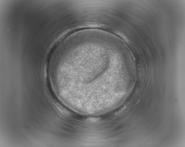 X0000074290350200609222315