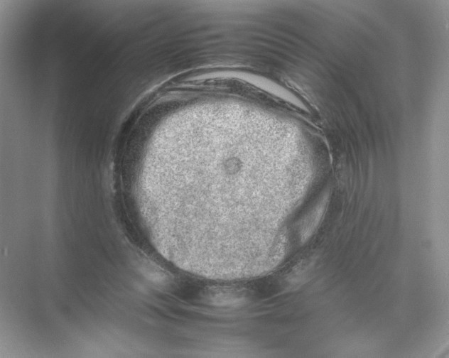 X0000074290351200609222315