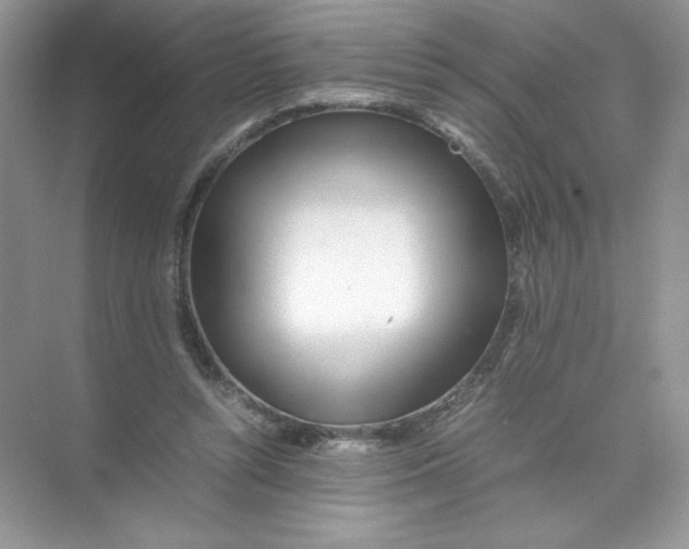 X0000074290352200609222315