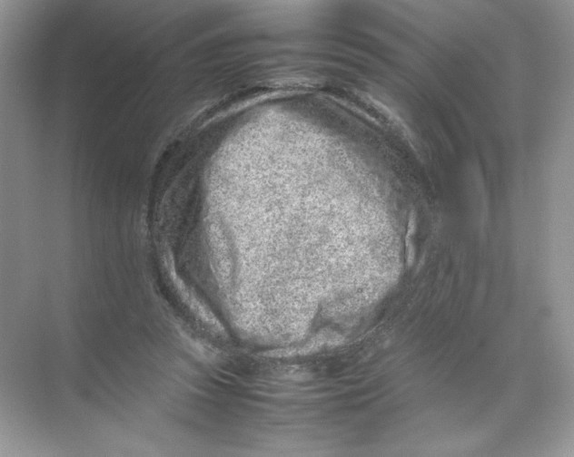 X0000074290353200609222315