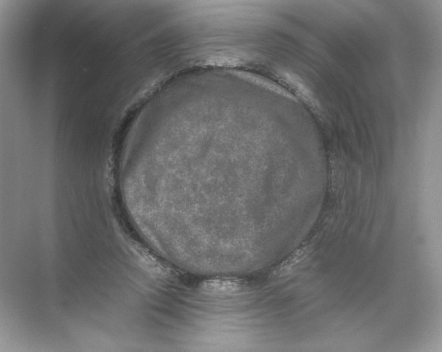 X0000074290354200609222315