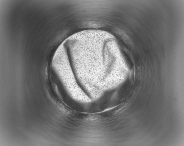 X0000074290358200609222315