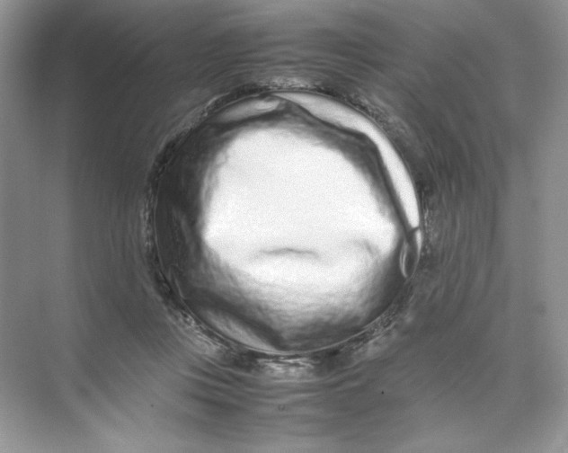 X0000074290359200609222315