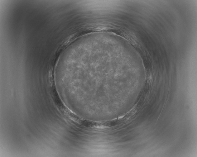 X0000074290360200609222315