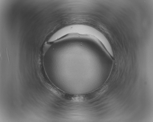 X0000074290362200609222315