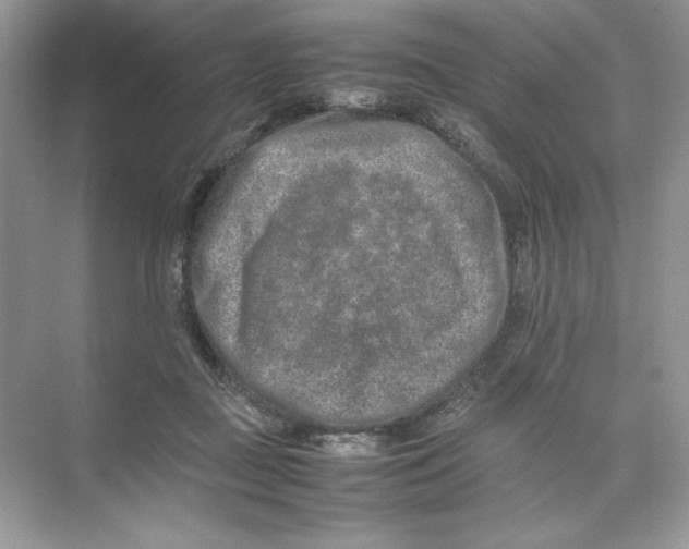 X0000074290363200609222315