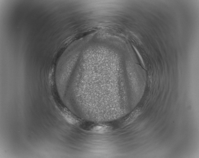 X0000074290364200609222315