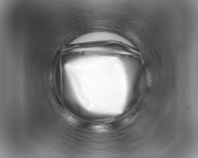 X0000074290365200609222315