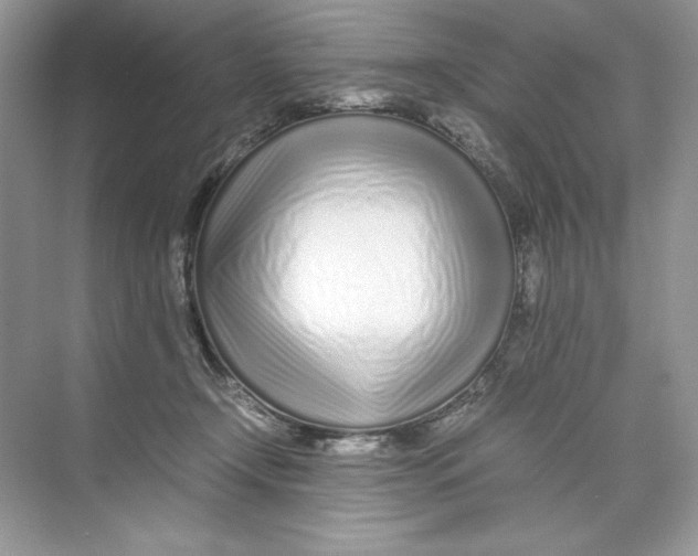 X0000074290366200609222315