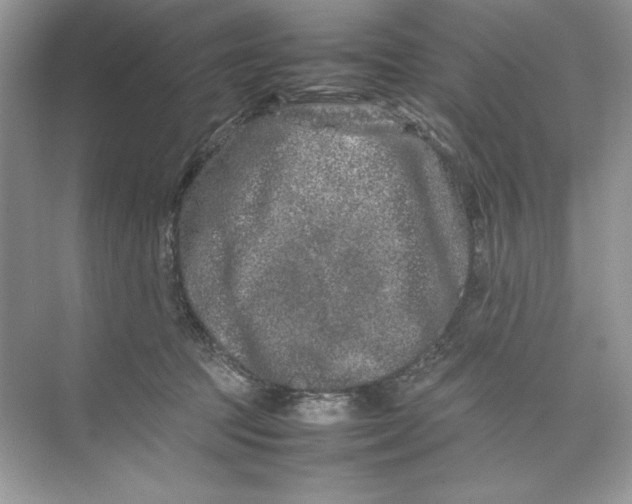 X0000074290369200609222315