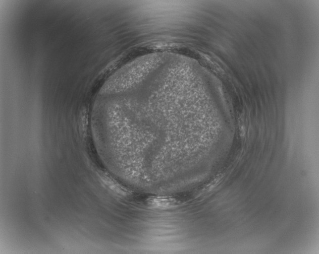 X0000074290372200609222315