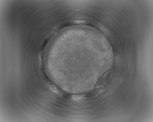 X0000074290373200609222315