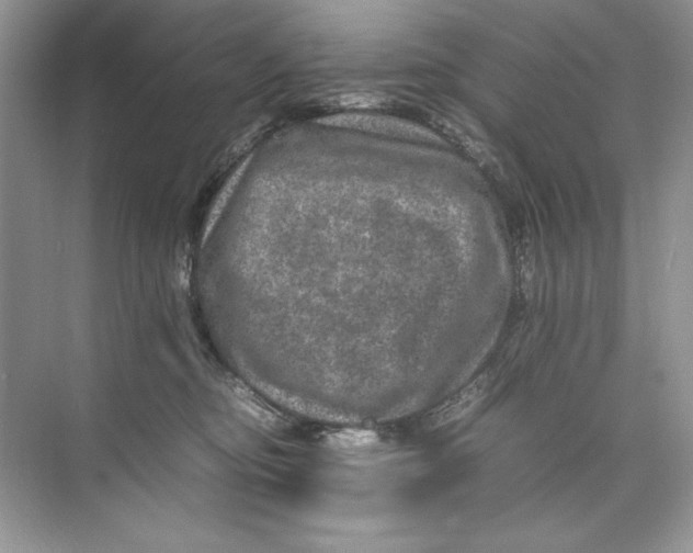 X0000074290374200609222315