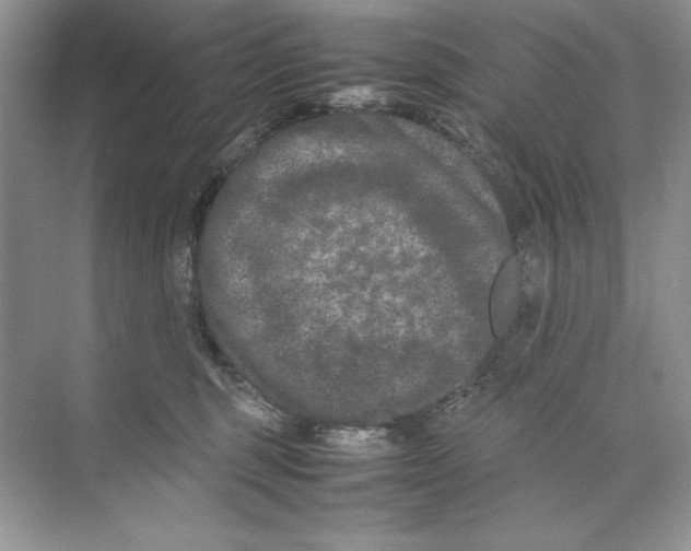 X0000074290375200609222315