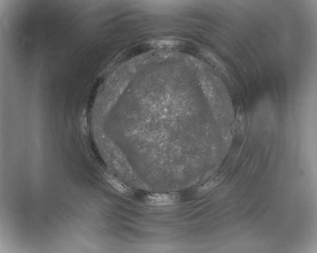 X0000074290381200609222315