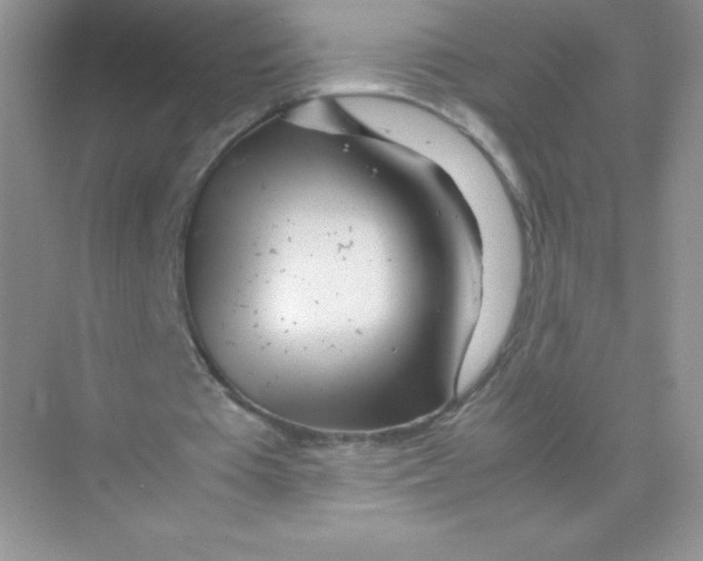 X0000074290385200609222314