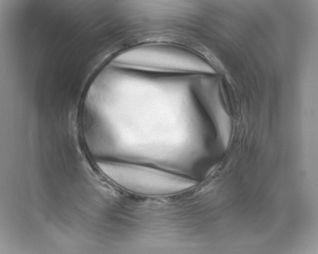 X0000074290386200609222314