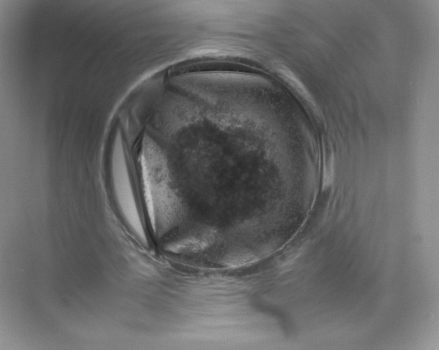 X0000074290387200609222314