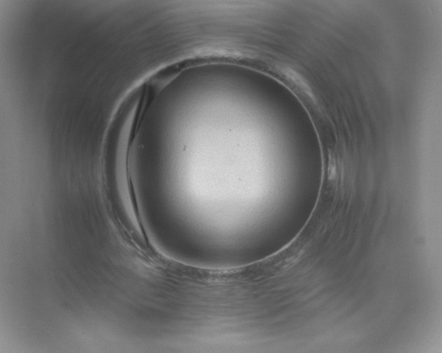 X0000074290388200609222314