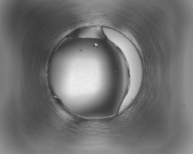 X0000074290389200609222314