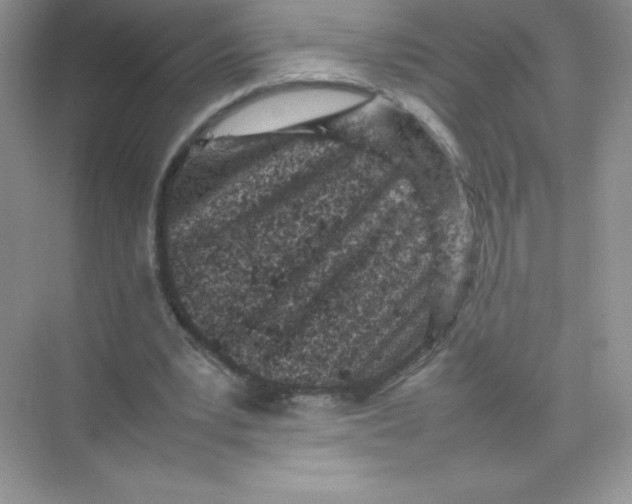 X0000074290391200609222314