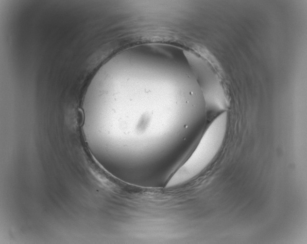 X0000074290393200609222314