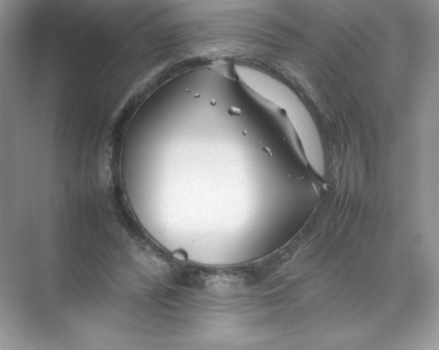 X0000074290400200609222314