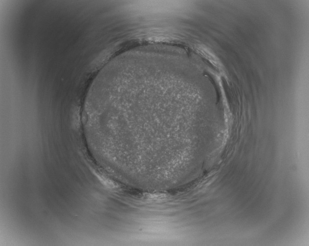 X0000074290401200609222314