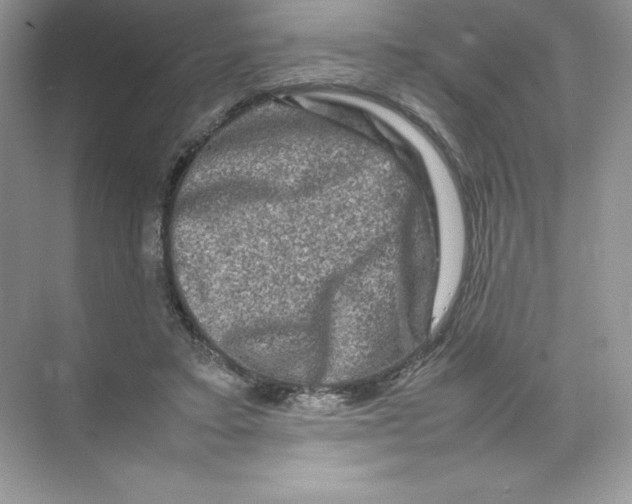 X0000074290403200609222314