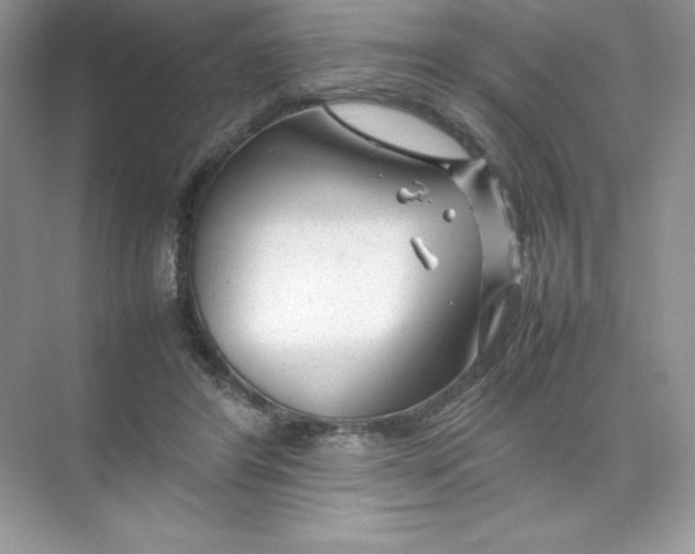 X0000074290404200609222314