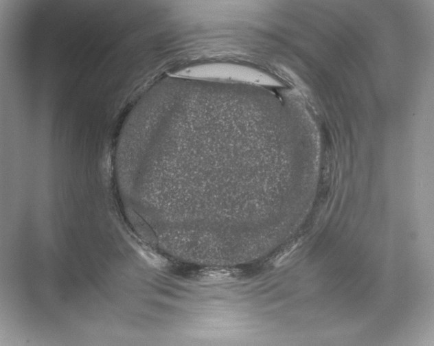 X0000074290405200609222314