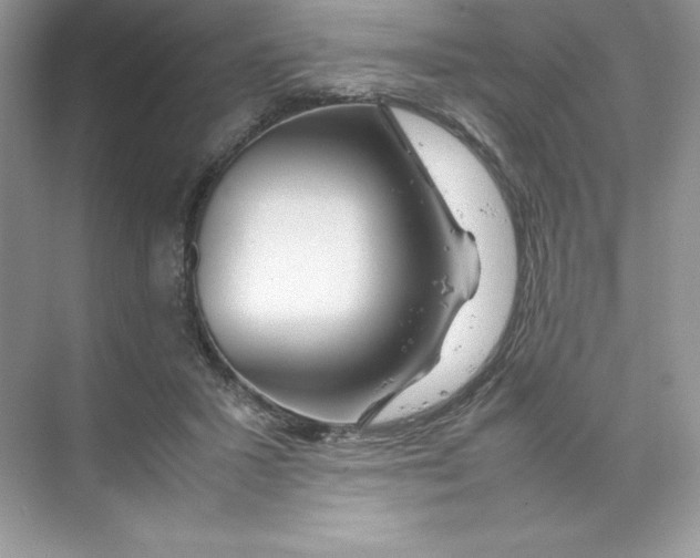 X0000074290407200609222314