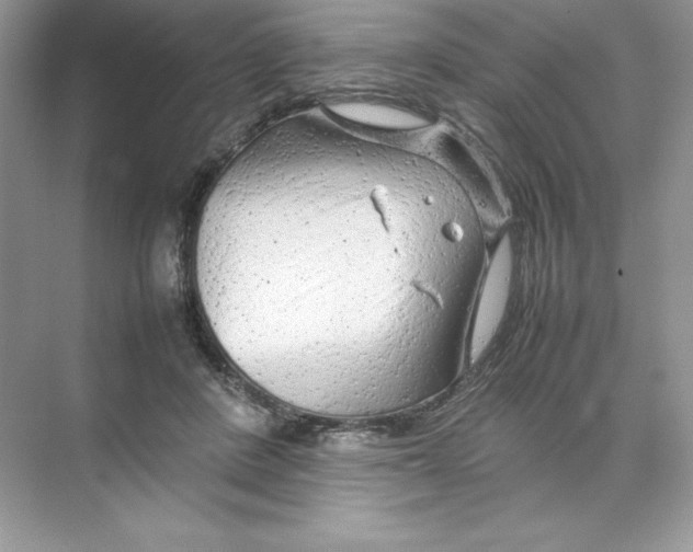 X0000074290408200609222314