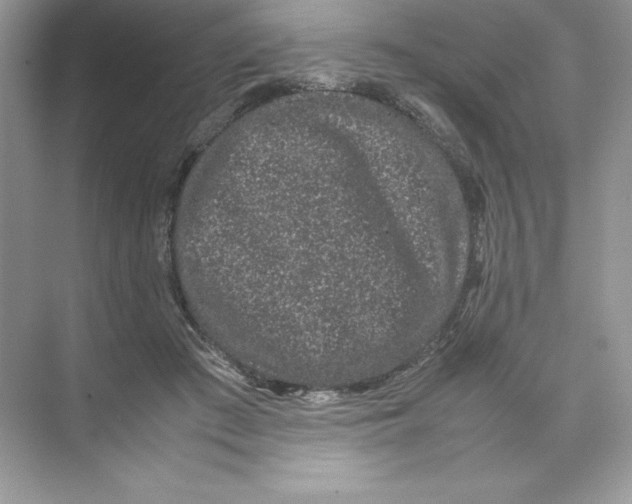 X0000074290409200609222314