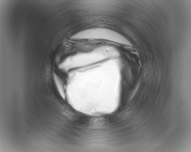 X0000074290410200609222314