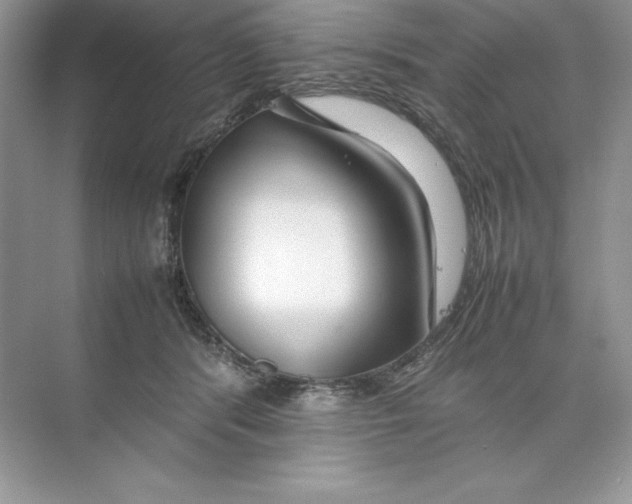 X0000074290416200609222314