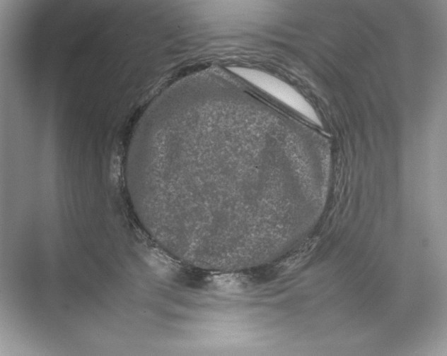 X0000074290417200609222314