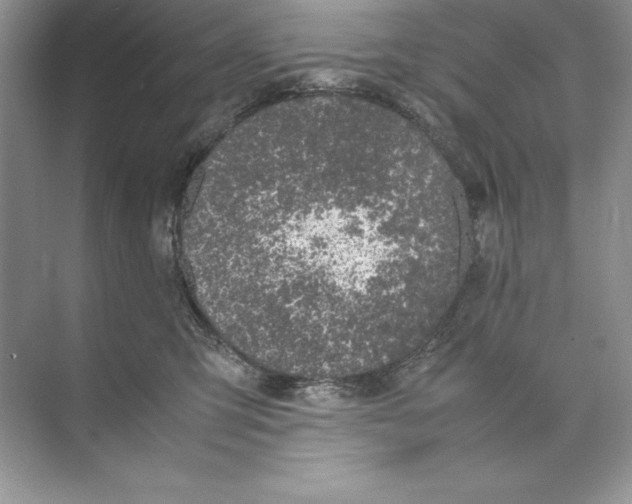 X0000074290423200609222314