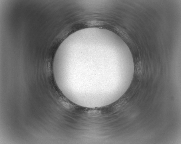 X0000074290426200609222314