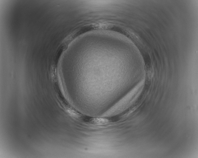 X0000074290429200609222314