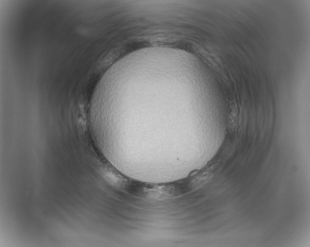 X0000074290430200609222314