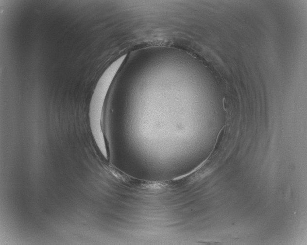 X0000074290432200609222314