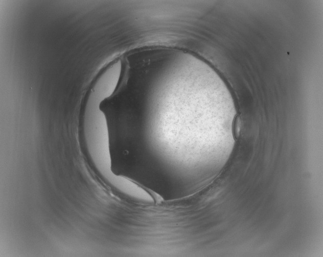 X0000074290434200609222313