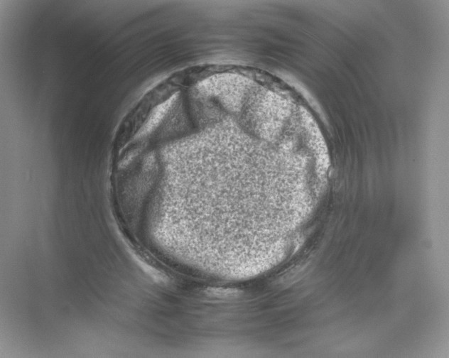 X0000074290437200609222313