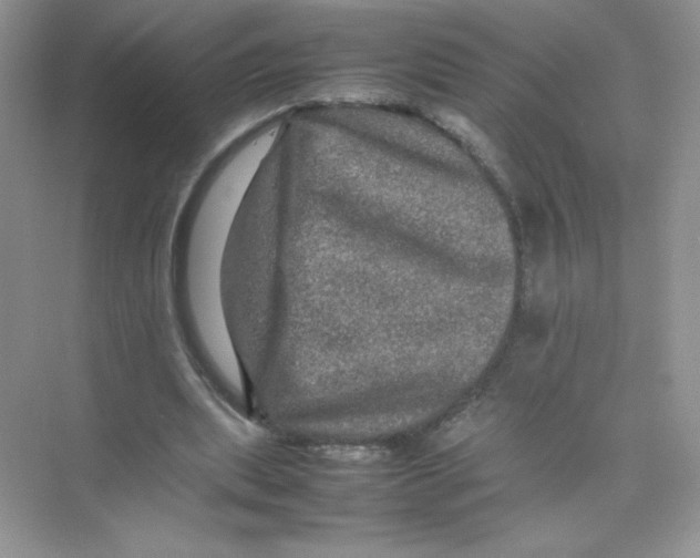 X0000074290439200609222313