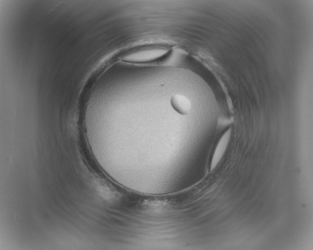 X0000074290440200609222313