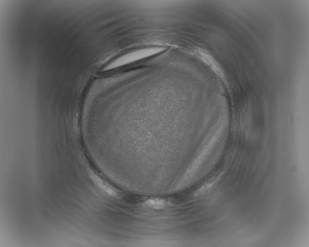 X0000074290441200609222313