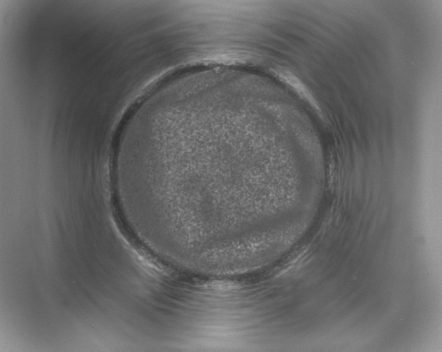 X0000074290444200609222313